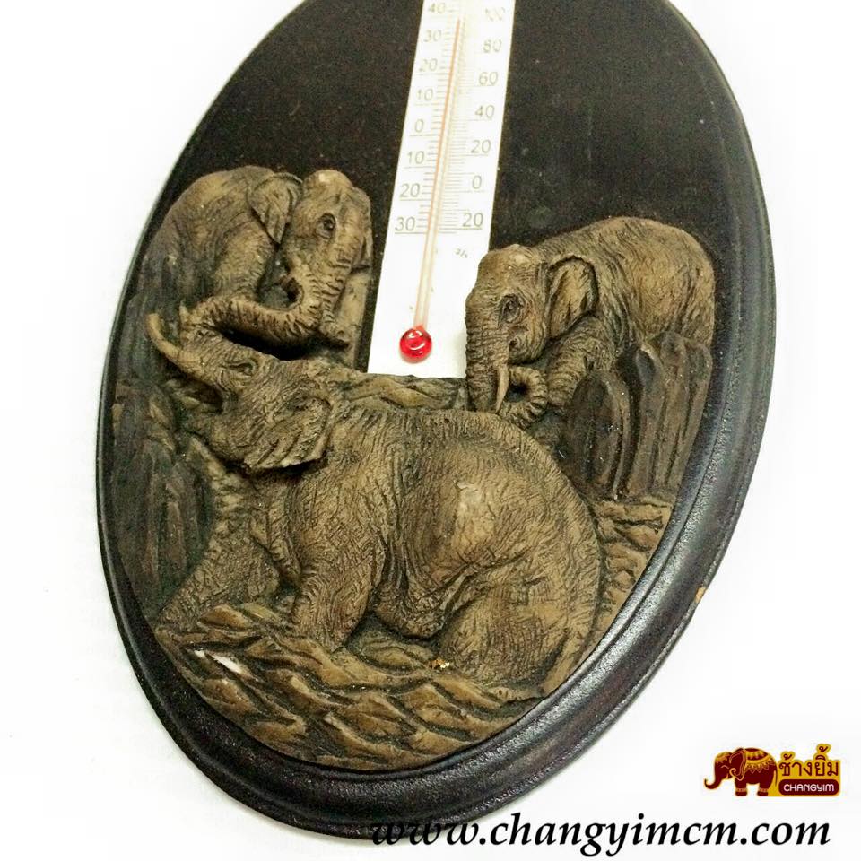 เครื่องวัดอุณหภูมิ