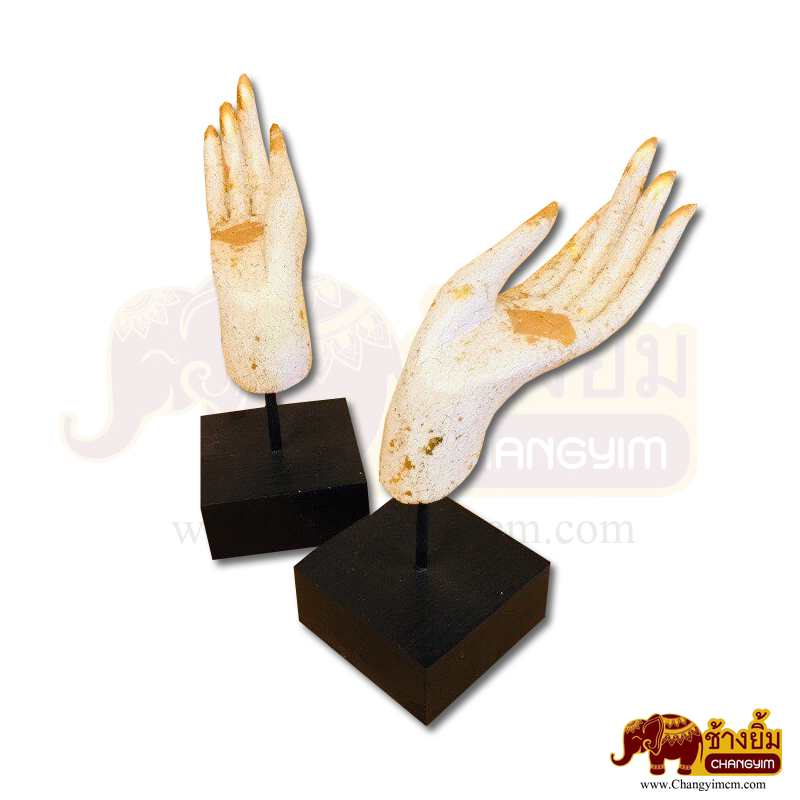 มือหงาย ( คู่ )