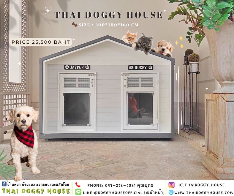 บ้านหมา แบบบ้าน 𝑵𝒐𝒓𝒅𝒊𝒄 𝒔𝒕𝒚𝒍𝒆
