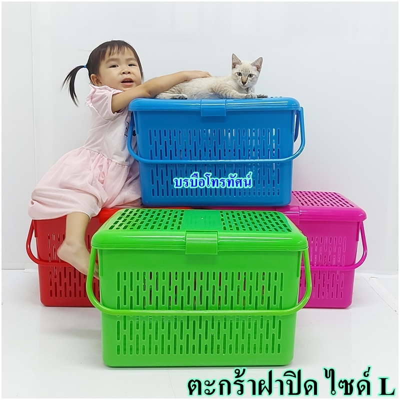 ตะกร้า มีฝาปิด ตะกร้ามีฝาปิด #แม่ลูกอ่อน #ตะกร้าใส่ของ ใส่แมวหมาก็ได้จ้า