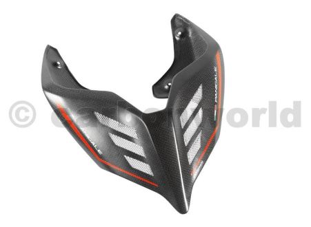Carbonworld ท้ายคาร์บอน (Seat cover carbon) สำหรับ Panigale V4