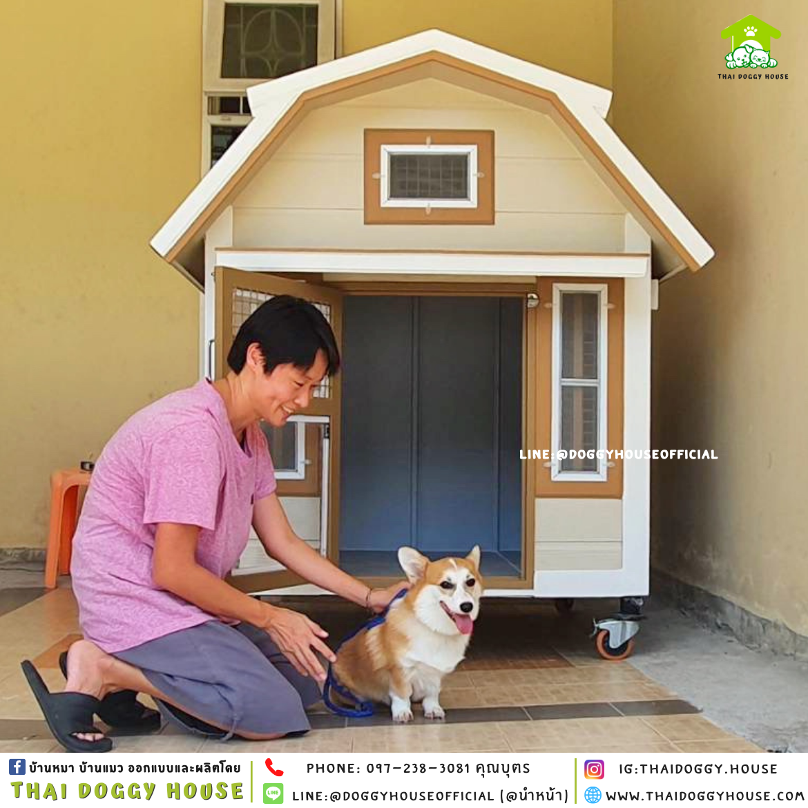 🏡บ้านหมา ติดพัดลม มุ้งลวด บ้านแบบบ้าน 𝐕𝐢𝐧𝐭𝐚𝐠𝐞 𝐬𝐭𝐲𝐥𝐞✨