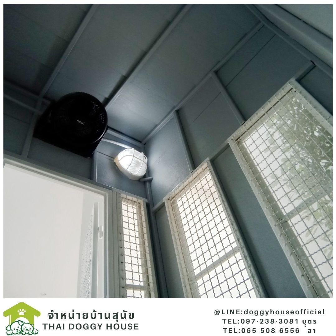 บ้านหมา