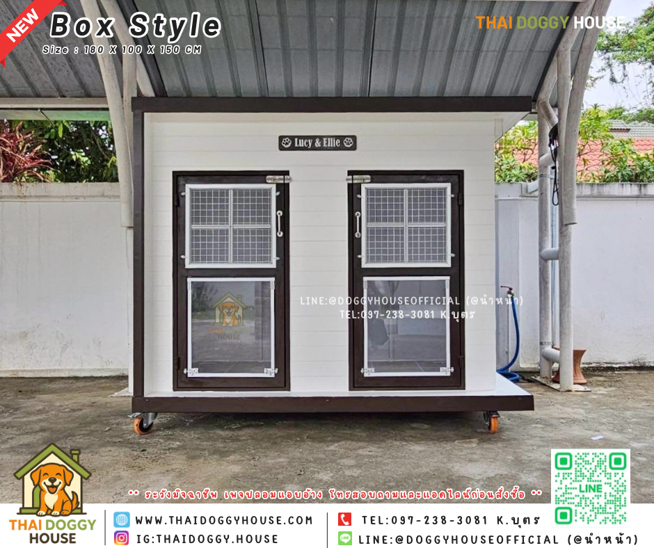 🏡บ้านหมา มุ้งลวด 2 ประตู แบบบ้าน Box Style 🐶