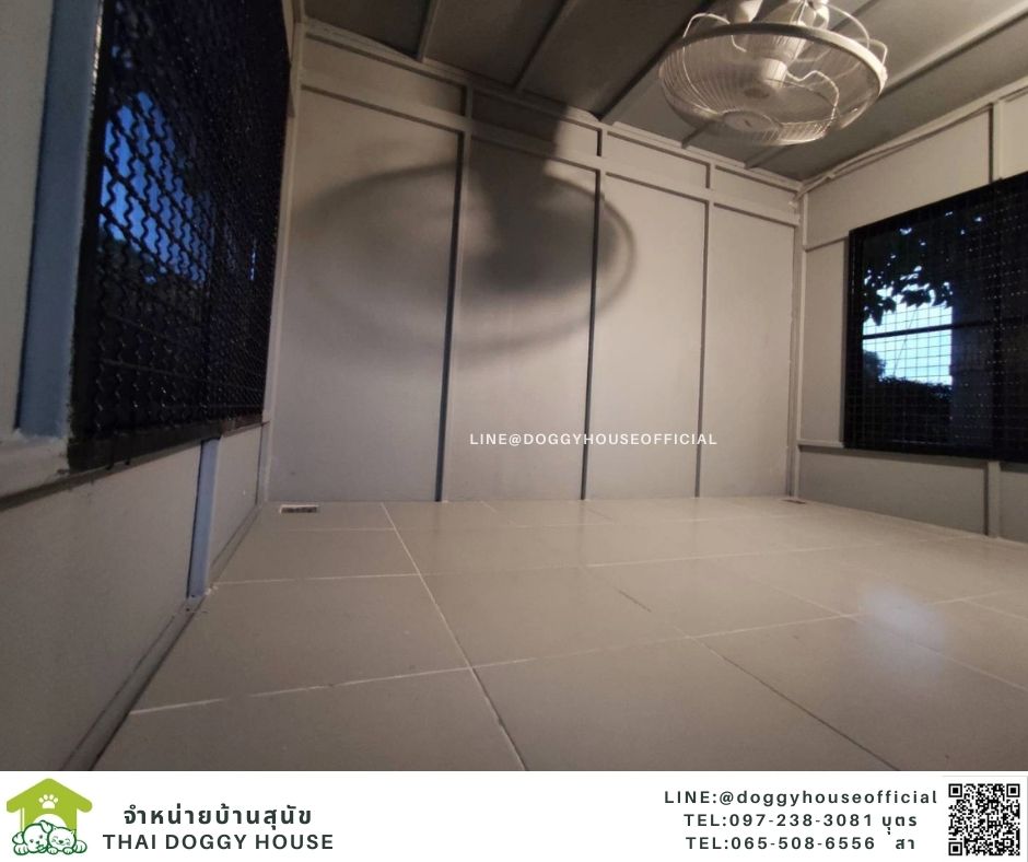 บ้านหมา