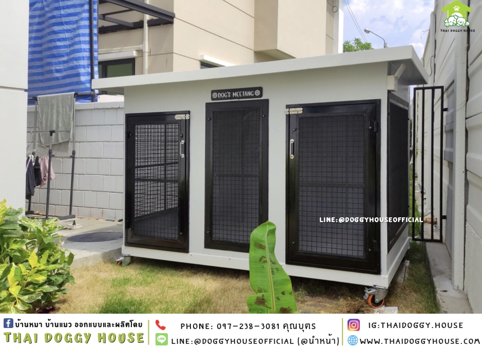 บ้านหมา 𝟐 ประตู แบบบ้าน 𝐁𝐎𝐗 𝐒𝐓𝐘𝐋𝐄