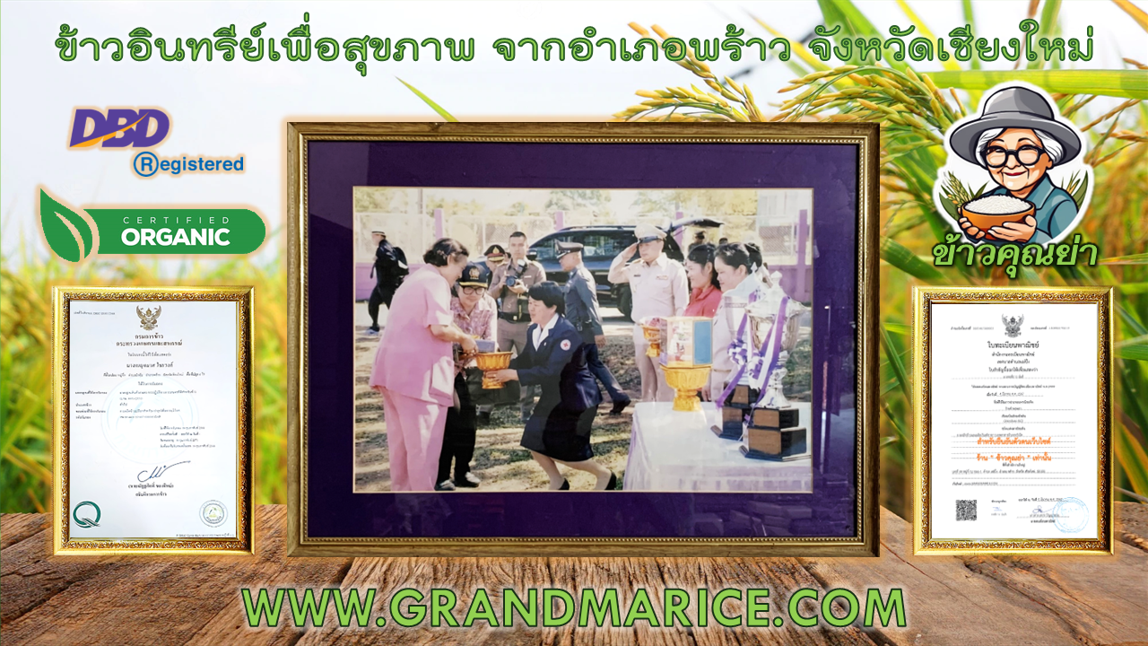 ร้านขายข้าวออร์แกนิคของแท้,ร้านขายข้าวอินทรีย์ปลอดสารพิษ,ร้านขายข้าวลดน้ำตาล,ร้านขายข้าวกข43,ร้านขายข้าวกล้องกข43,ร้านขายข้าวกล้องแดงออร์แกนิก,ร้านขายข้าวกล้องorganic,ร้านขายข้าวไรซ์เบอร์รี่ออร์แกนิค,ร้านขายข้าวอินทรีย์เพื่อสุขภาพ,ร้านขายข้าวลดหุ่นลดน้ำหน ร้านขายข้าวออร์แกนิคของแท้,ร้านขายข้าวอินทรีย์ปลอดสารพิษ,ร้านขายข้าวลดน้ำตาล,ร้านขายข้าวกข43,ร้านขายข้าวกล้องกข43,ร้านขายข้าวกล้องแดงออร์แกนิก,ร้านขายข้าวกล้องorganic,ร้านขายข้าวไรซ์เบอร์รี่ออร์แกนิค,ร้านขายข้าวอินทรีย์เพื่อสุขภาพ,ร้านขายข้าวลดหุ่นลดน้ำหน