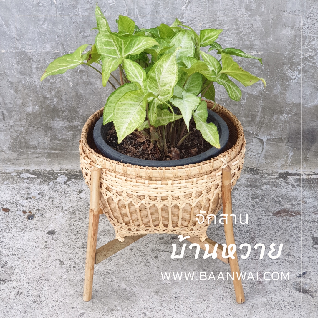 กระบุงไม้ไผ่ กระบุงใส่ต้นไม้ ตะกร้าไม้ไผ่