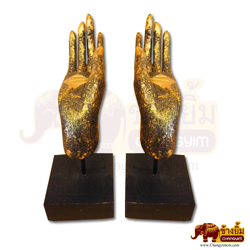 มือหงาย ( คู่ )