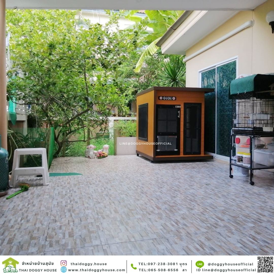 บ้านหมา