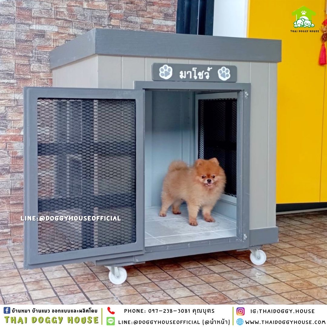 บ้านหมา ทรง 𝐁𝐨𝐱