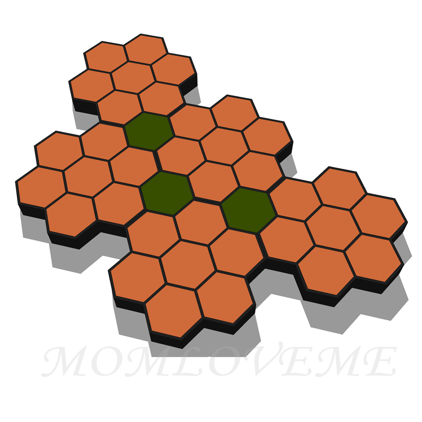 แม่พิมพ์ทางเดิน ลายรังผึ้ง D5