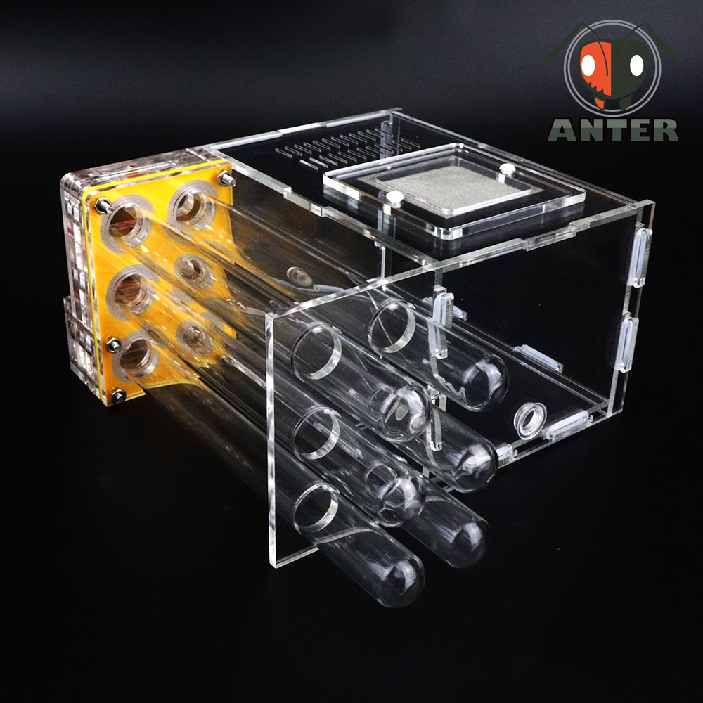 รังมด บ้านมดแบบหลอดทดลองสามชั้น รุ่น Revolver (6 หลอด)