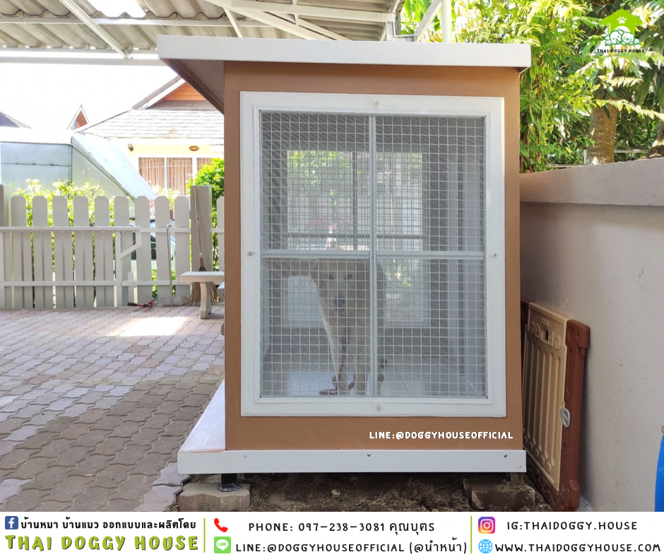 บ้านหมา แบบบ้าน BOX STYLE