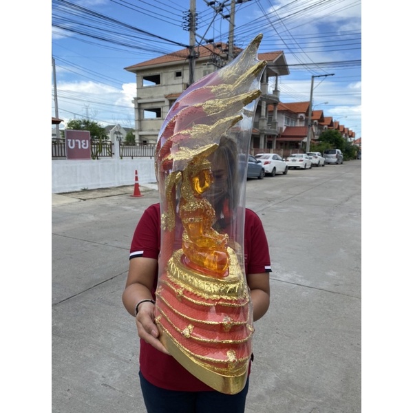 พระเเก้วนาคปรก พระนาคปรก กว้าง14นิ้ว สูง25นิ้ว