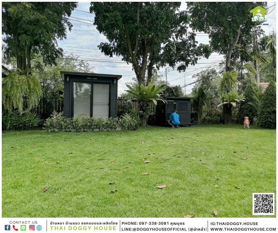 บ้านหมา รุ่นขายดี