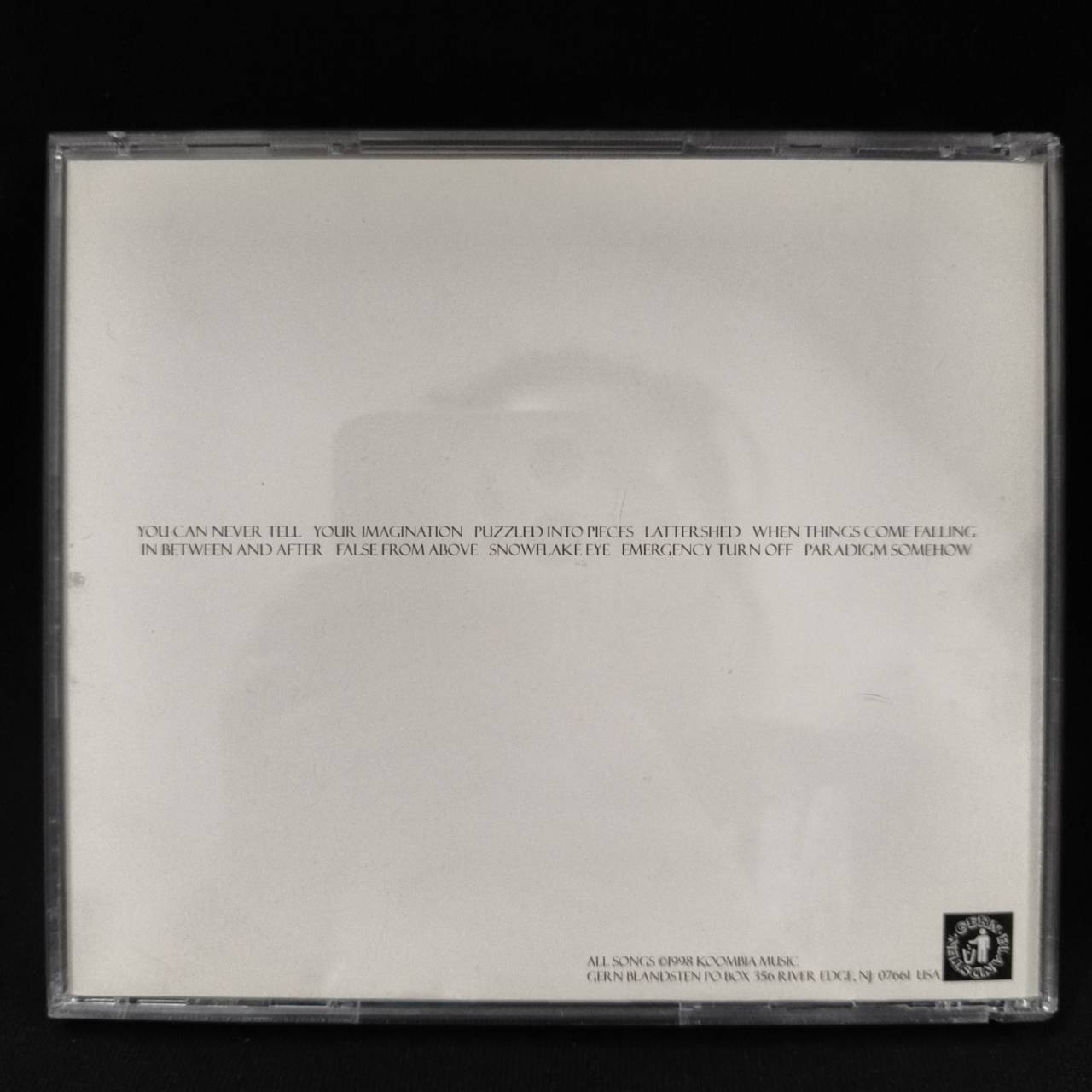 All Natural Lemon & Lime Flavors – Turning Into Small / USA / แผ่นดี