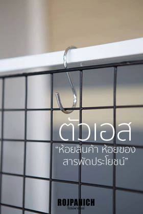 ตัวเอสชุบโครเมียม