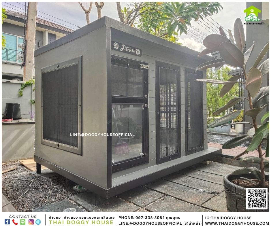 บ้านหมา Box style