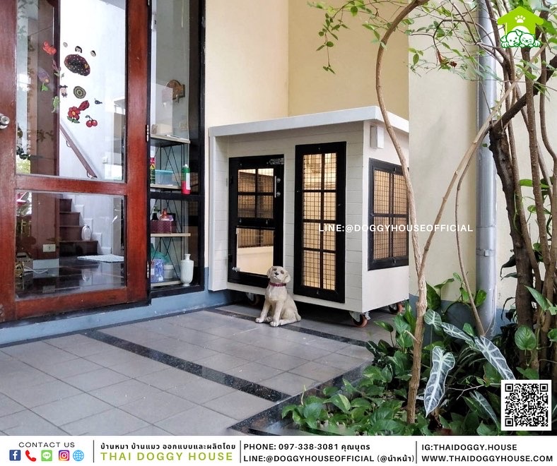 บ้านหมา แบบบ้าน Box style