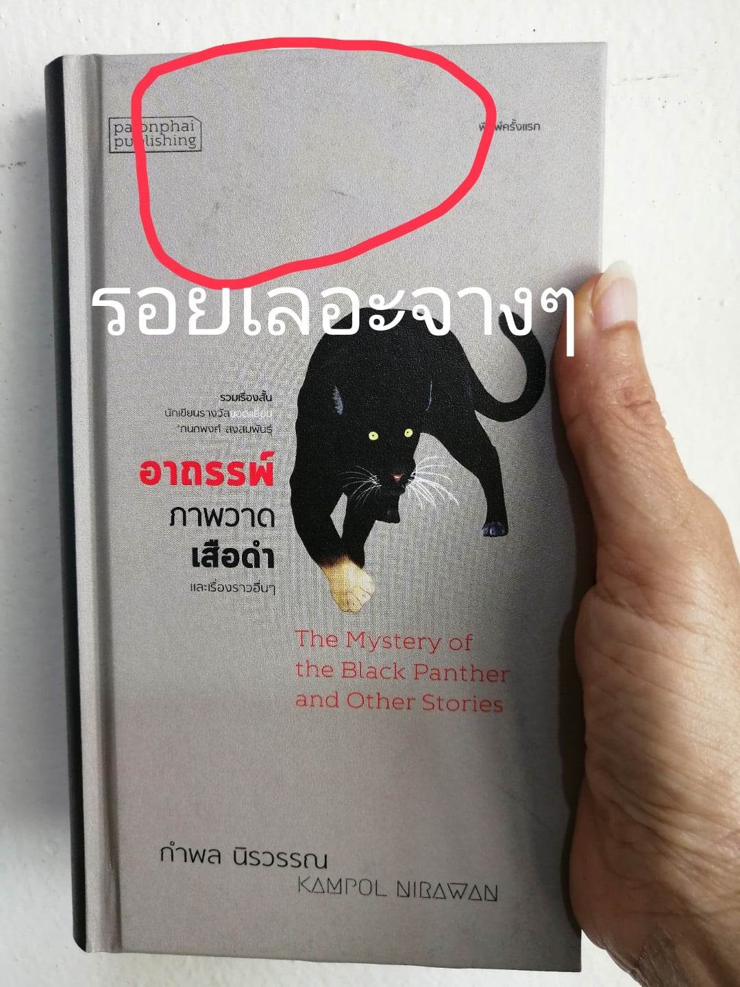 อาถรรพ์ภาพวาดเสือดำ/ปข