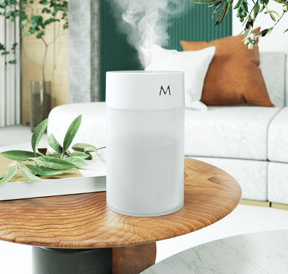 เครื่องพ่นไอน้ำ,เครื่องพ่นไอน้ำUSB,260ml