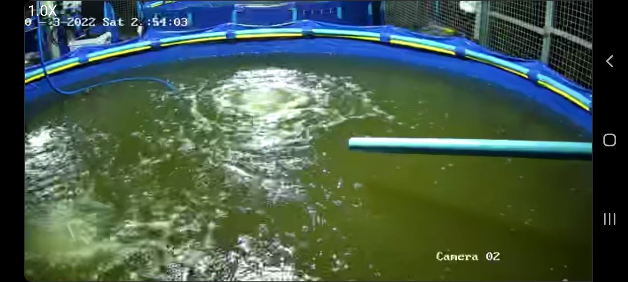 ติดตั้งระบบควบคุมปลาดุก x มหาวิทยาลัยเทคโนโลยีราชมงคลสุวรรณภูมิ