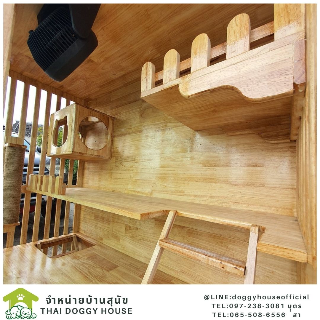 บ้านแมว สไตล์มินิมอล