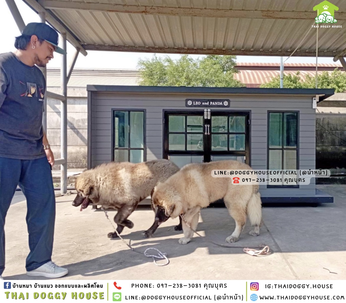 บ้านหมา รองรับการติดแอร์ แบบบ้าน 𝐁𝐨𝐱 𝐬𝐭𝐲𝐥𝐞