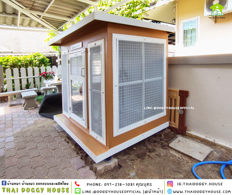 บ้านหมา แบบบ้าน BOX STYLE