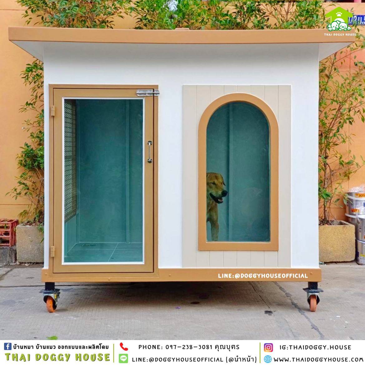 บ้านหมา แบบบ้าน 𝑩𝑶𝑿 𝑺𝑻𝒀𝒍𝑬