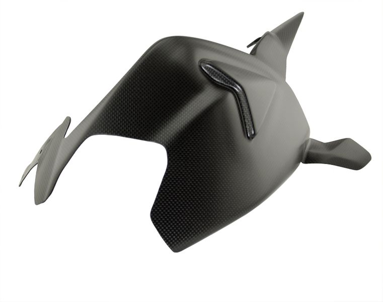 Carbon world-ครอบสวิงอาร์มคาร์บอน สำหรับ Panigale v2