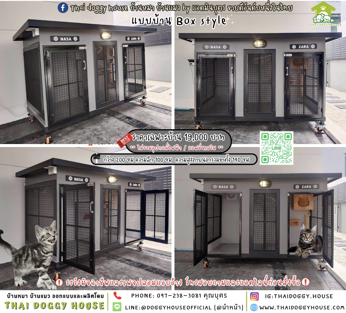 🏡🐈บ้านแมว 𝟮 ประตู แบบบ้าน 𝗕𝗼𝘅 𝗦𝘁𝘆𝗹𝗲 🐾