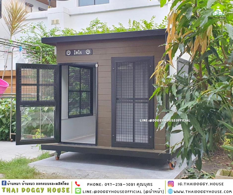 บ้านหมา แบบบ้าน Box style