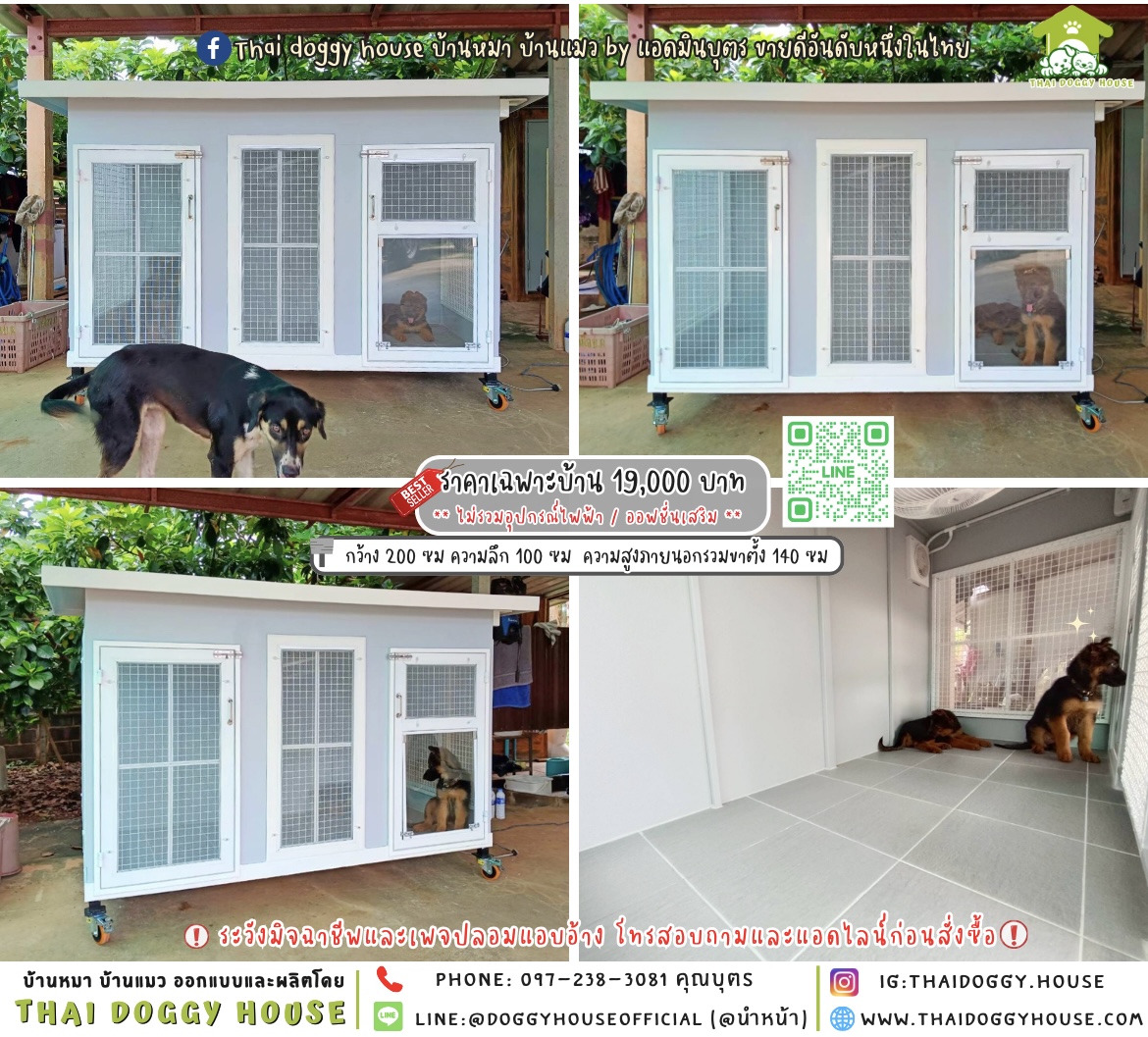 🏡🐶บ้านหมา 𝟮 ประตู แบบบ้าน 𝗕𝗼𝘅 𝗦𝘁𝘆𝗹𝗲 🐾