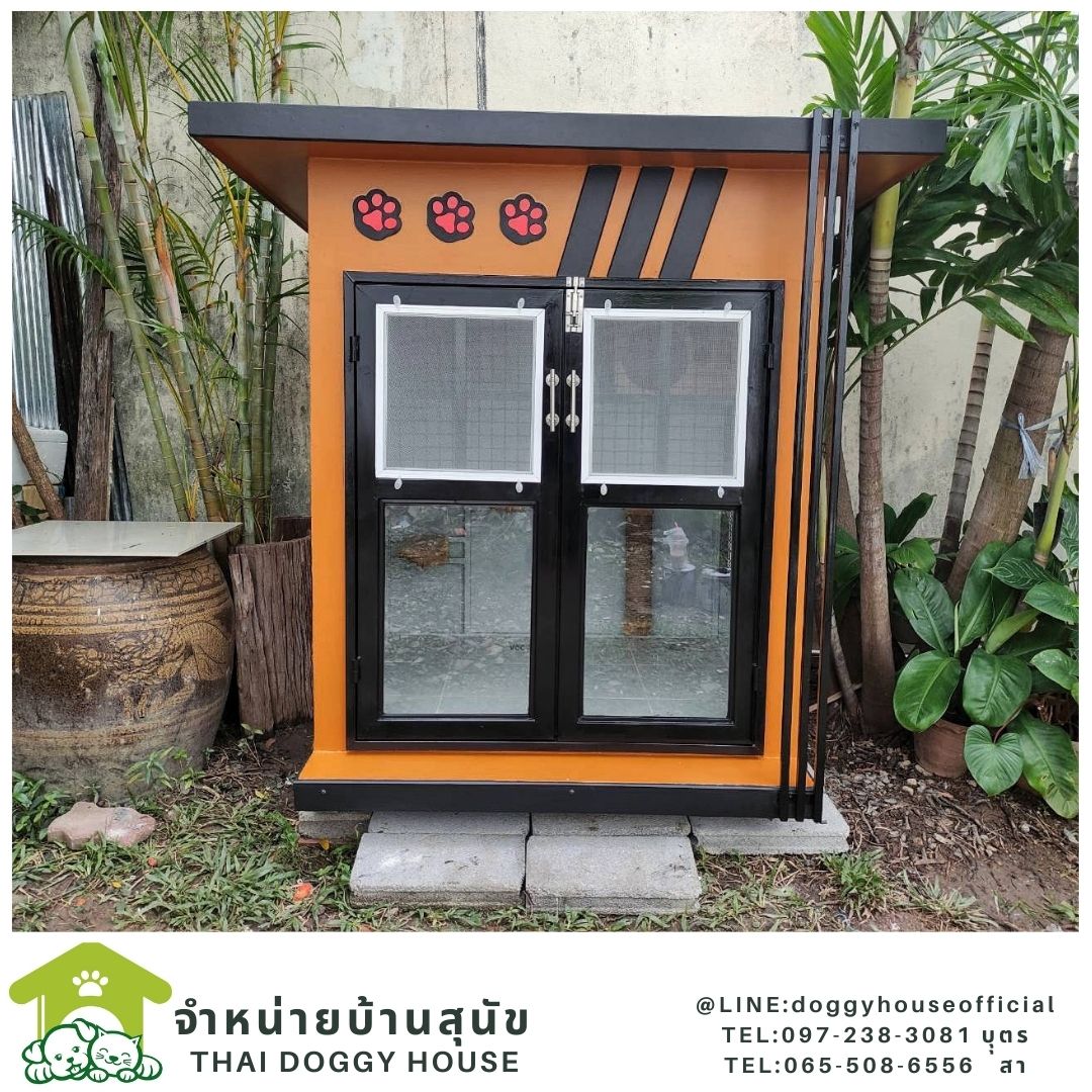บ้านแมว