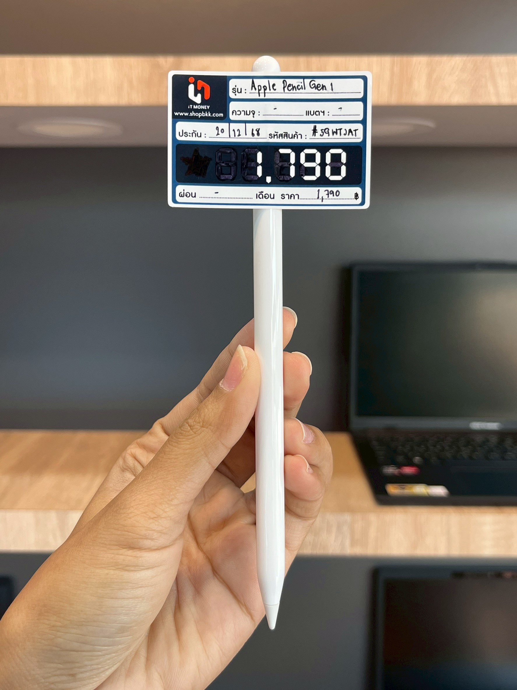 Apple Pencil (1st Generation)