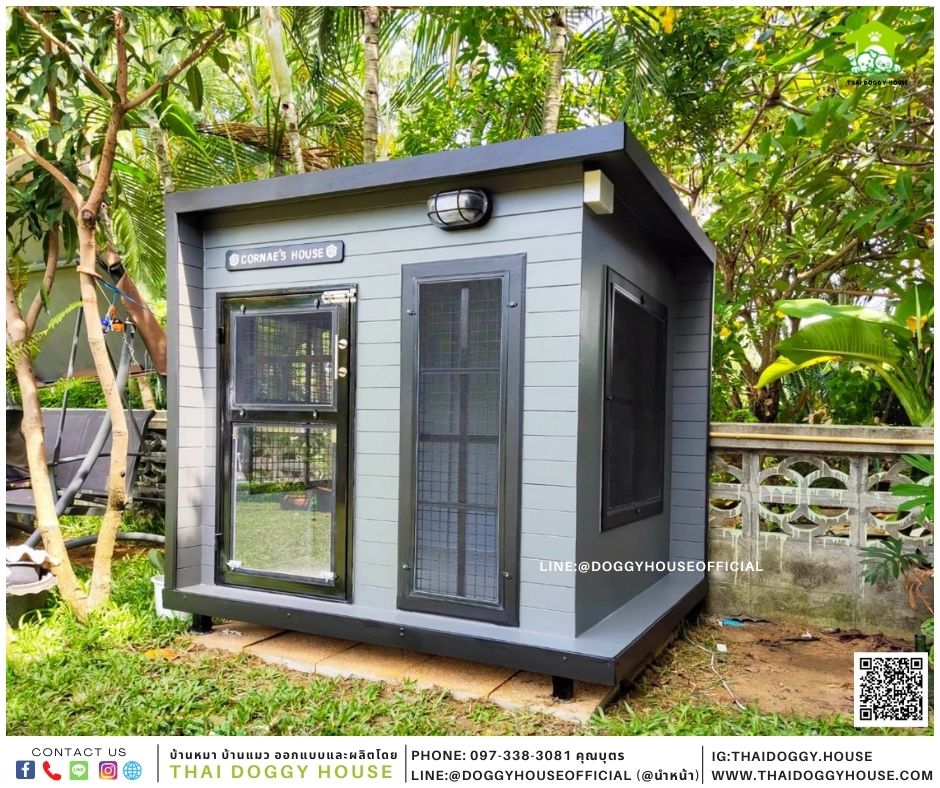 บ้านหมา Box style