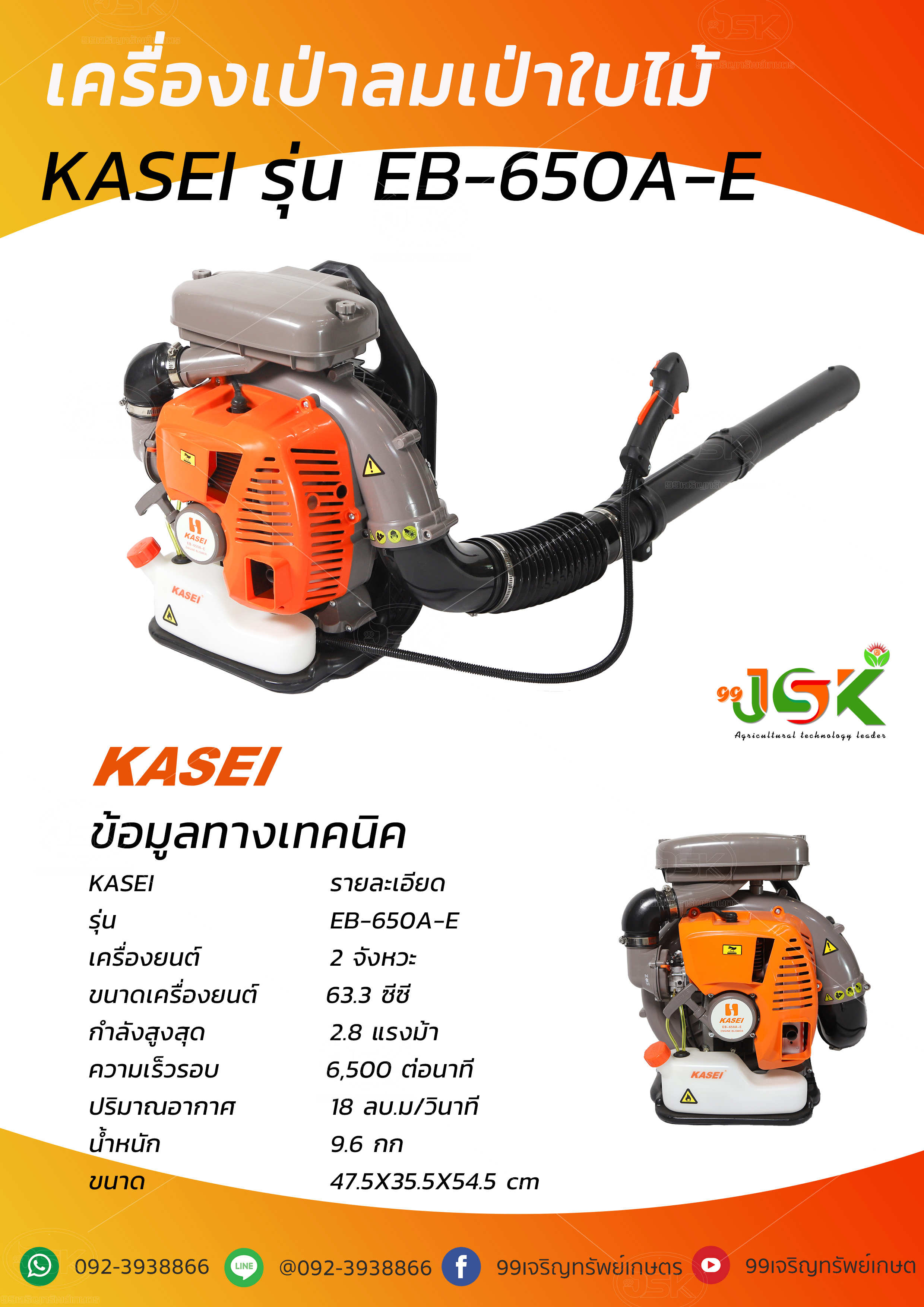 เครื่องเป่าลมเป่าใบไม้KASEI รุ่น EB-650A-E