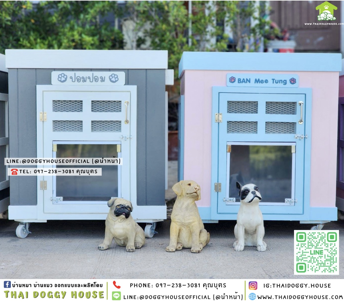 🏡บ้านหมา ติดพัดลม มุ้งลวด+ตะแกรงเหล็ก ทรง 𝐁𝐎𝐗 ✨