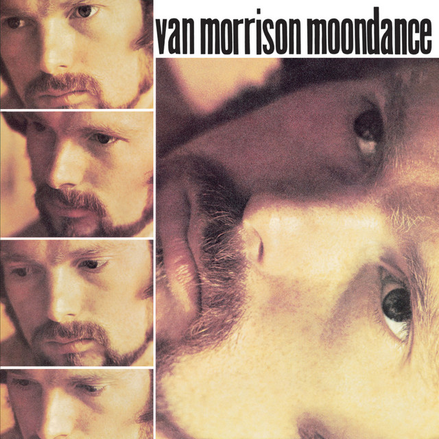Van Morrison – Moondance / GERMANY / ปกในมีจุดเหลือง / ทะลุขอบ(ไม่โดนเนื้อแผ่น) / แผ่นดี