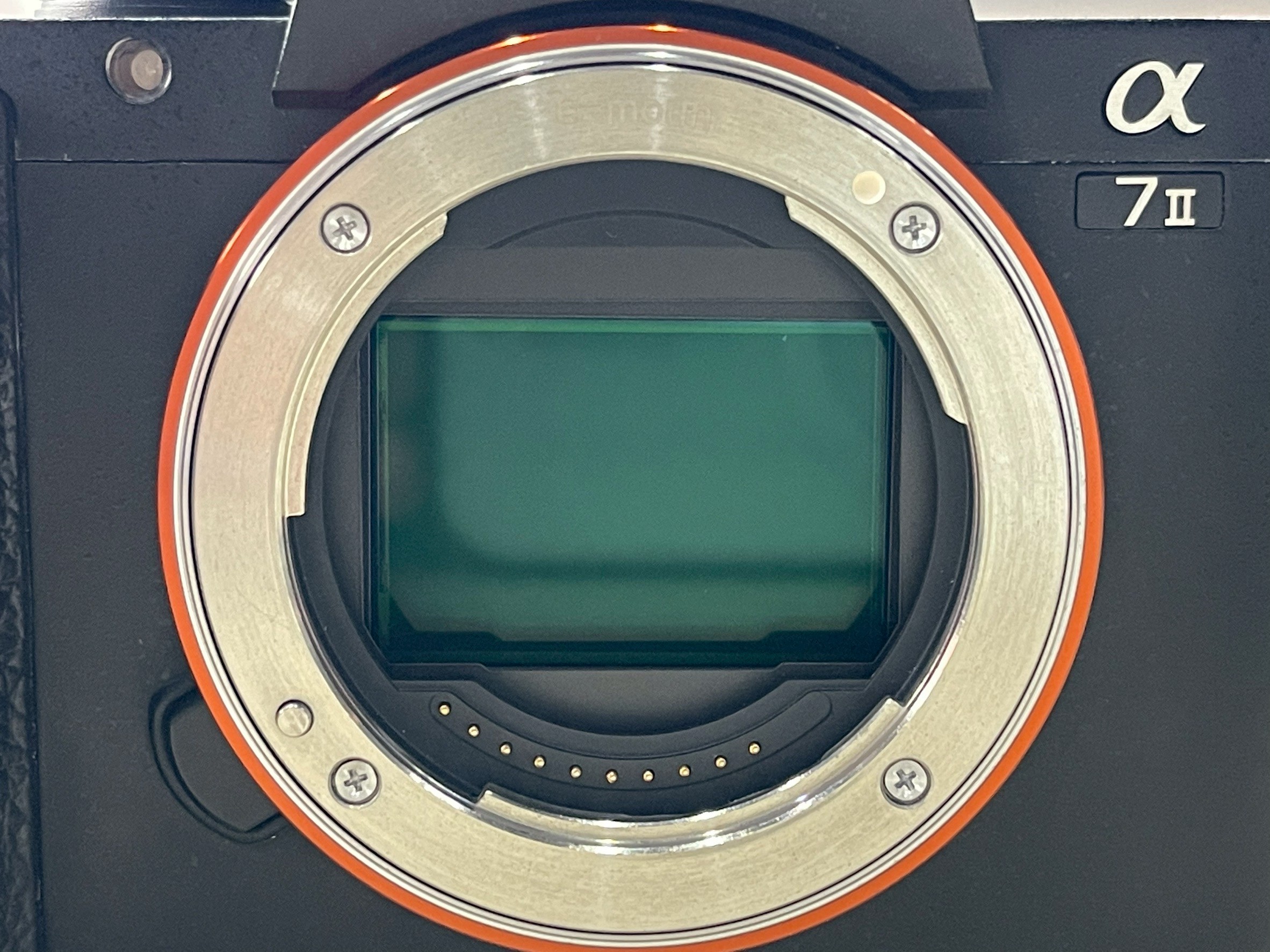 Sony A7II + Sony Sonnar T FE 55mm f/1.8 ZA*