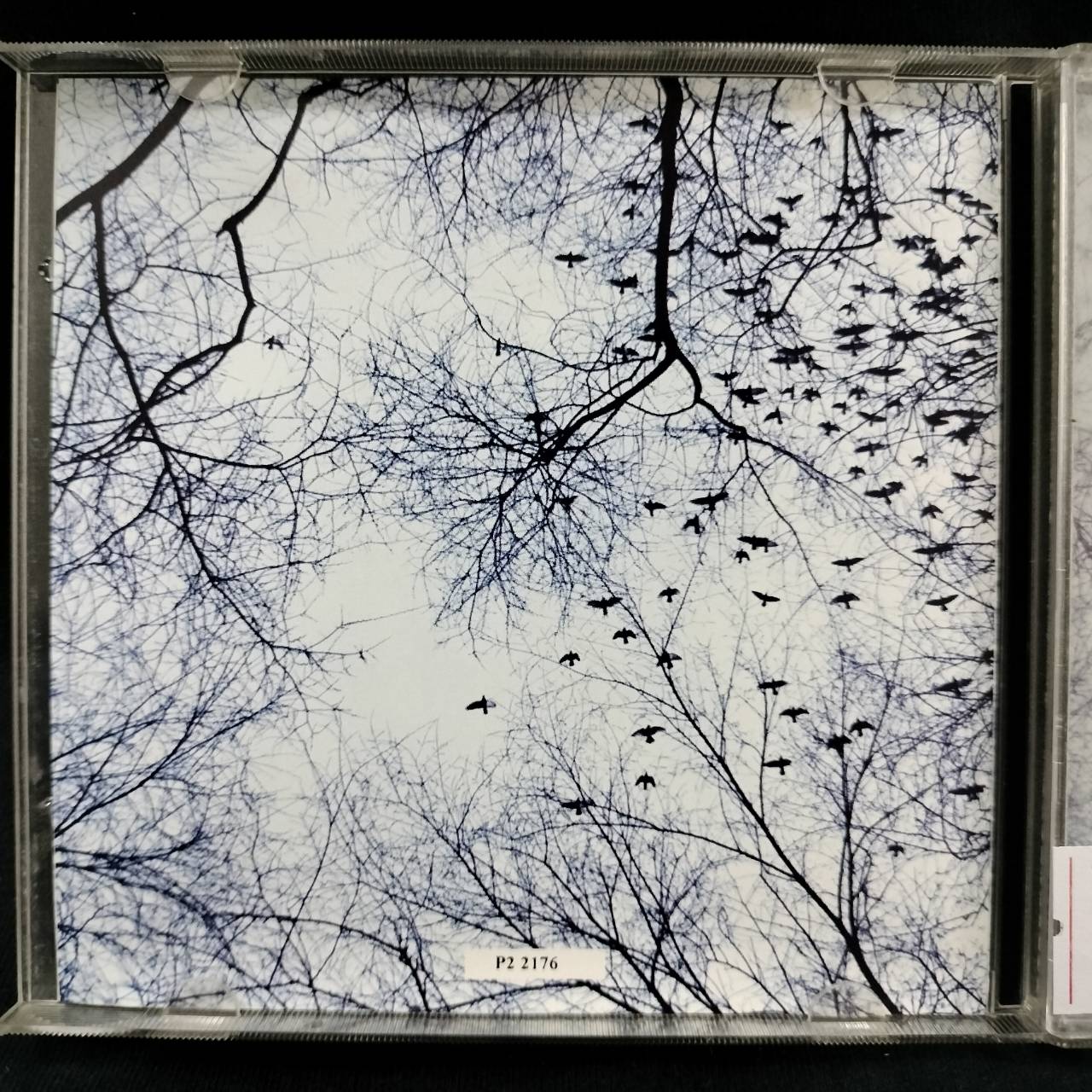 Yanni – Winter Light / USA / แผ่นดี