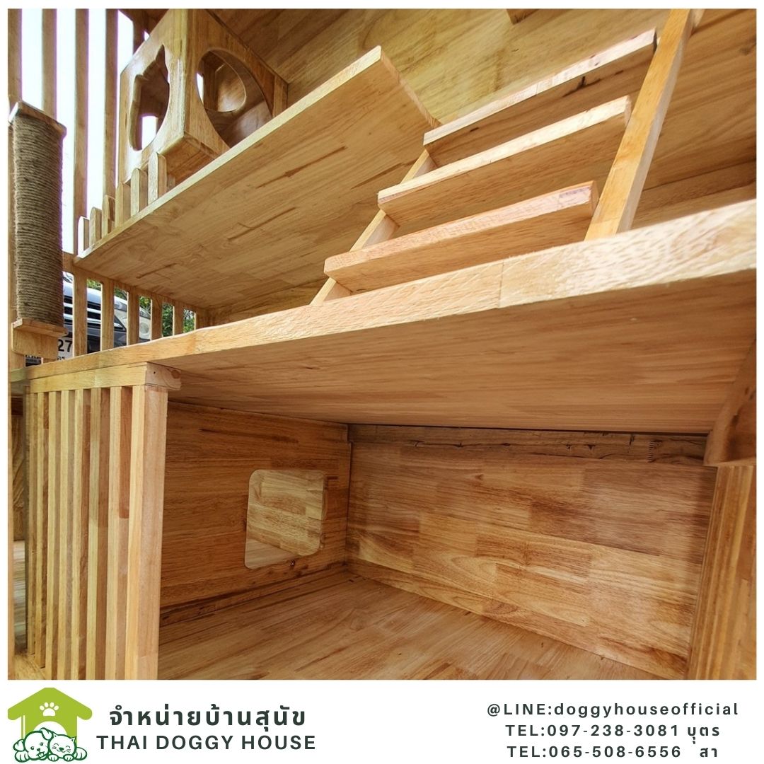 บ้านแมว สไตล์มินิมอล