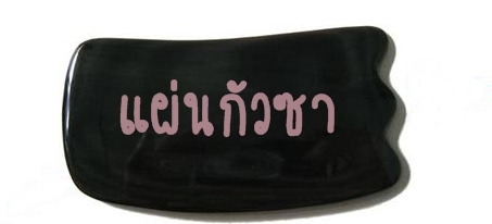 แผ่นกัวซา