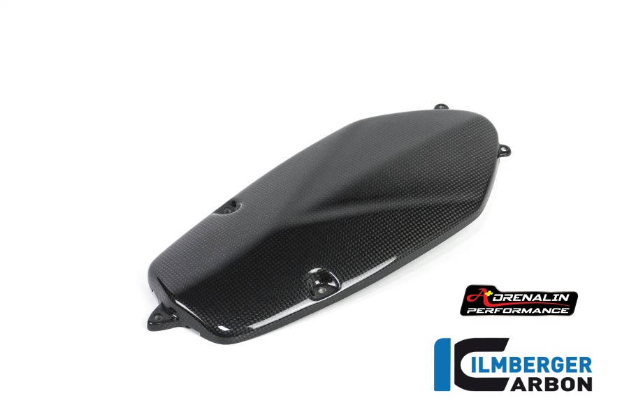 ilmberger ครอบหน้าเครื่องคาร์บอน สำหรับ R nine T 2017+