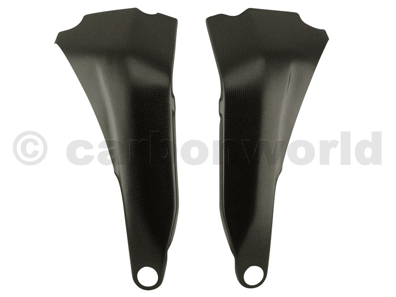 Carbonworld ครอบเฟรม (frame cover) สำหรับ PanigaleV4