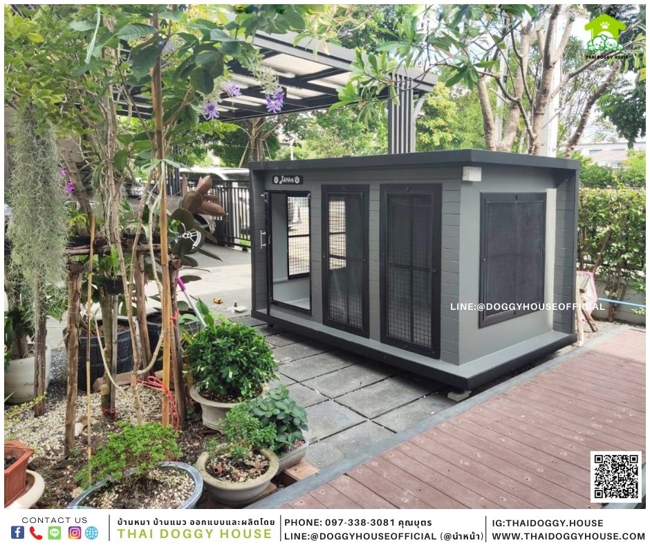 บ้านหมา Box style