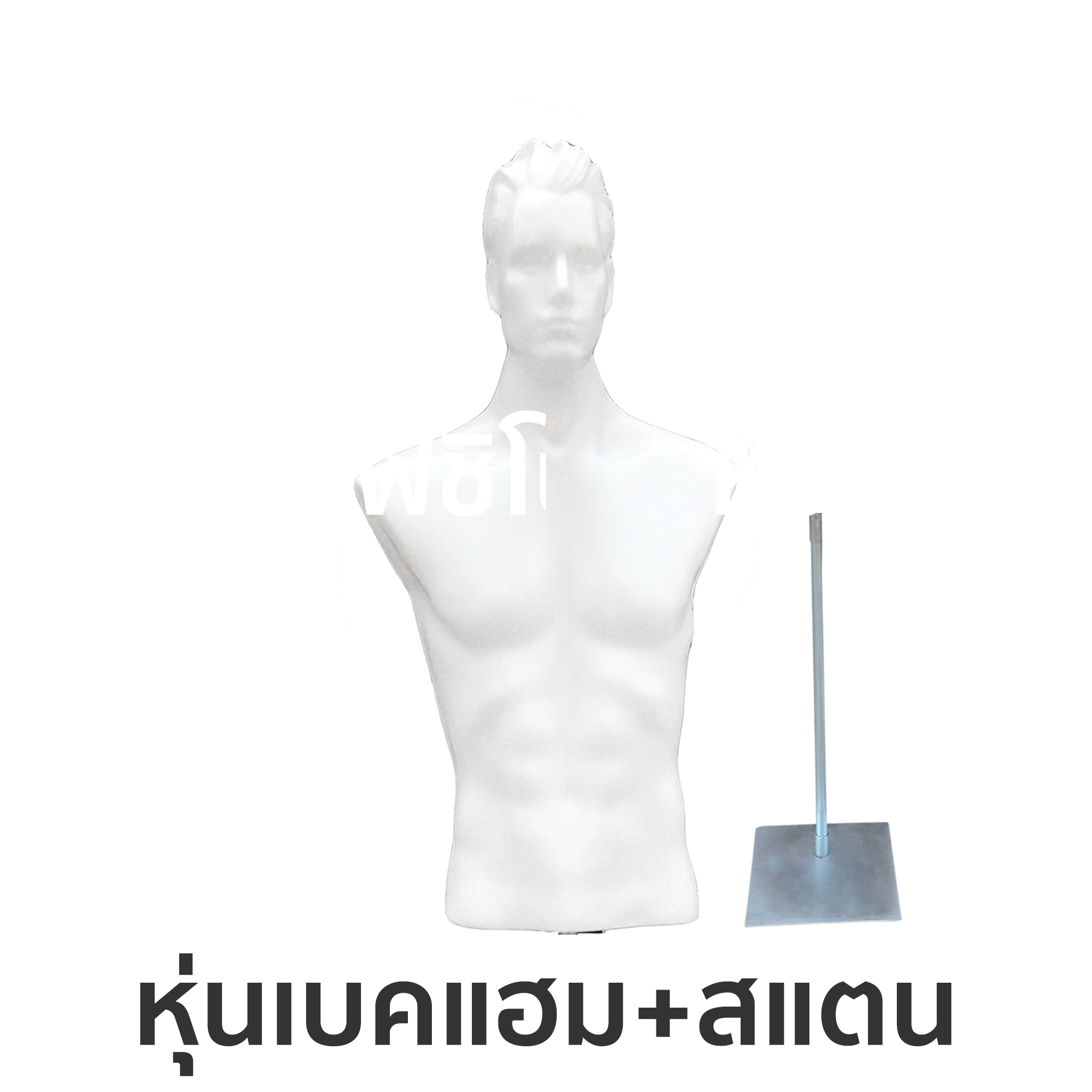 หุ่นเบคแฮม