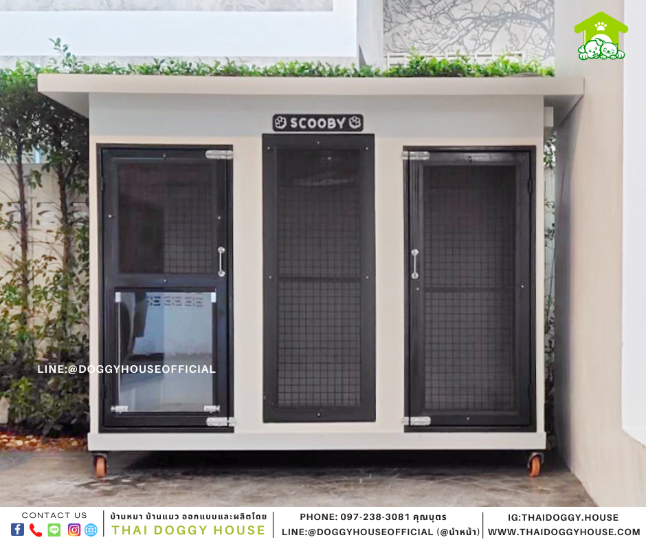 บ้านหมา 2 ประตู Box style